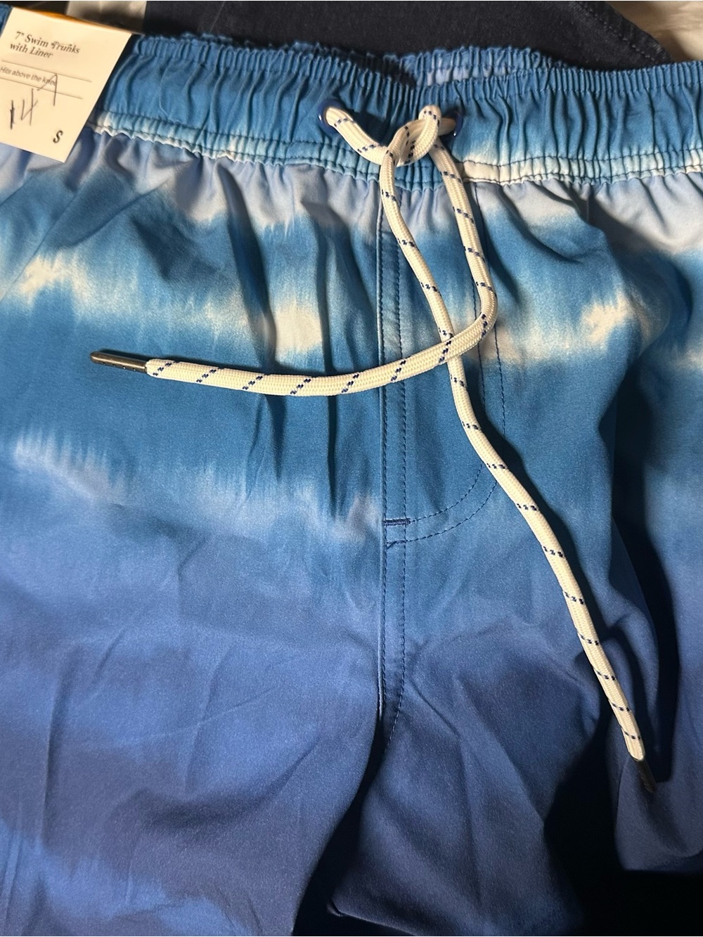 Source Unknown Blue Ombre Men’s Swim Trunks